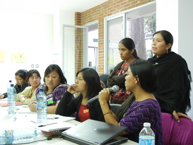 Indigenous women in a professional meeting