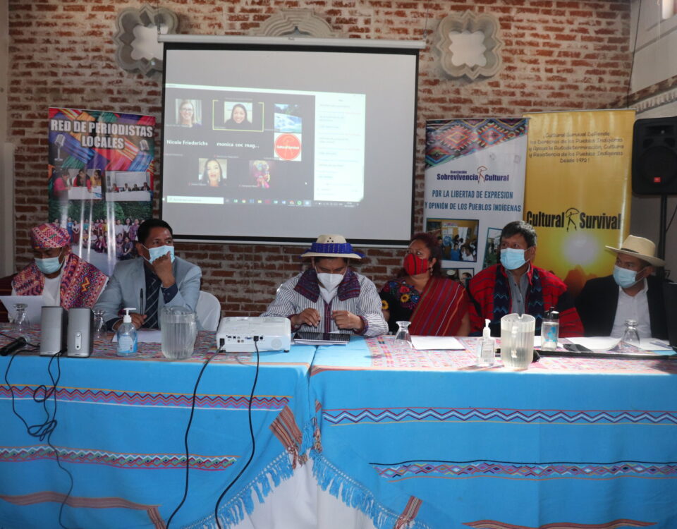 Six representatives of Indigenous communities sitting at a table in front of a projector for Cultural Survival press conference