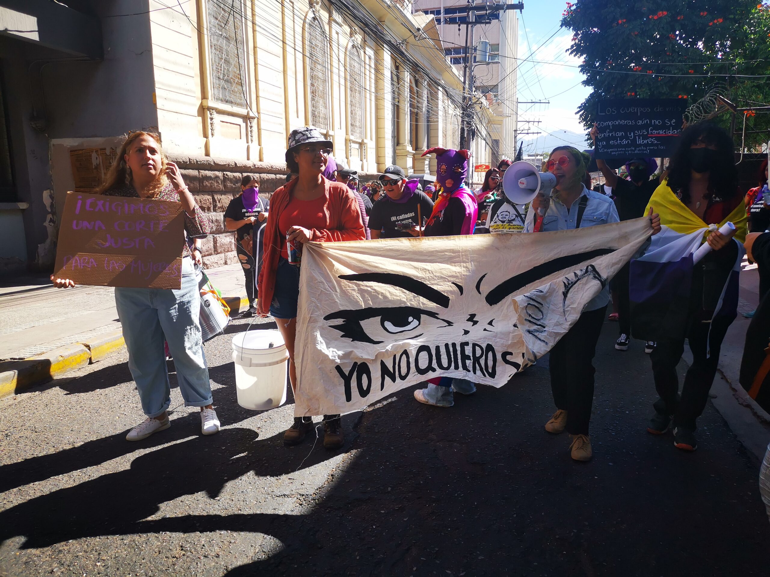 group of people marching with posters, banners, and megaphone